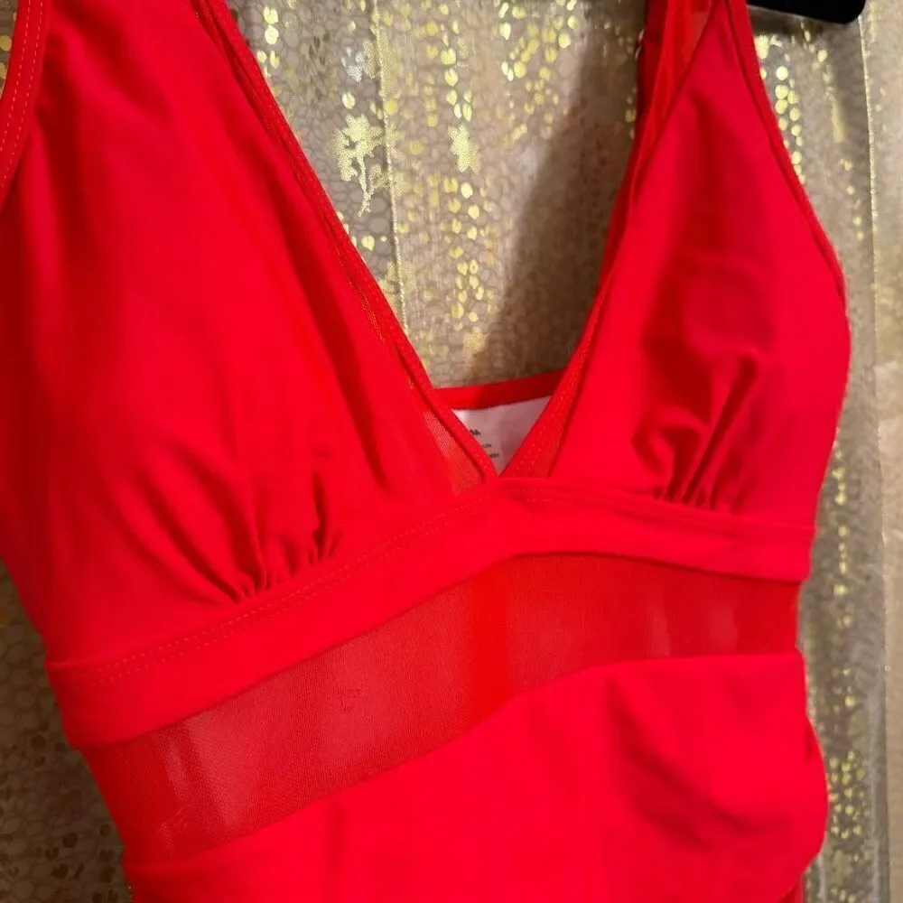 Lipstick Red Bright Cherry Mesh Plunge One Piece Swimsuit Medium